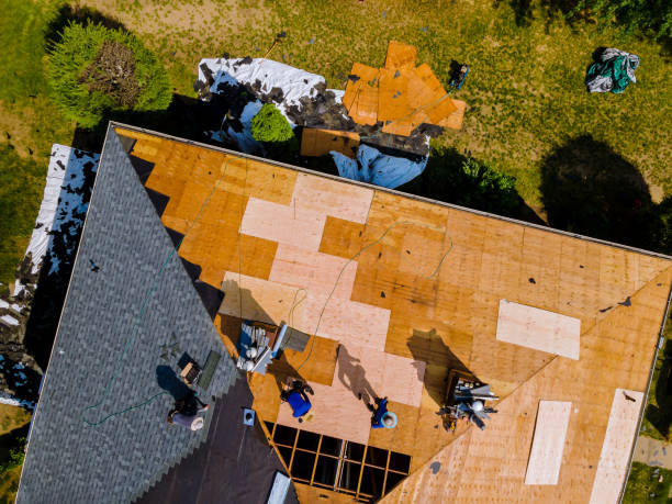 Best Roof Gutter Cleaning  in Narragansett Pier, RI